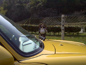 �^�c�ɓ��Ō������M�y�̒K�ƂX�X�R