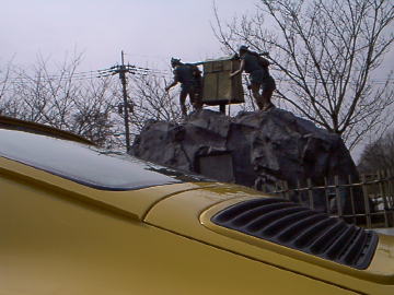 ���b���ŗL���Ȕd�B�ԕ䍂�擻�B���̌Q���ƌ���̃|���V�F�I