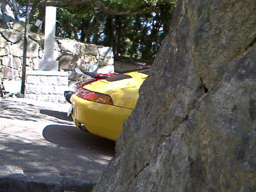 城壁から覗く蛙のお尻(^^)