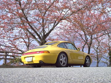 相生荘前 桜の木も紅葉している