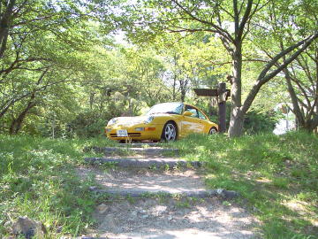 万葉岬の桜 初夏